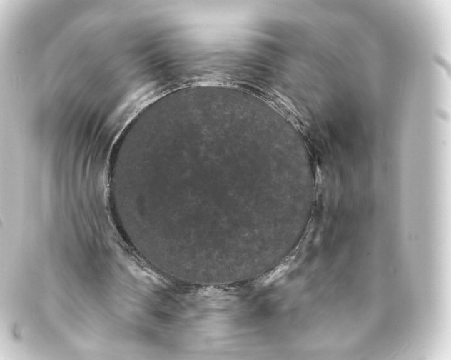 X0000093750290200710301130