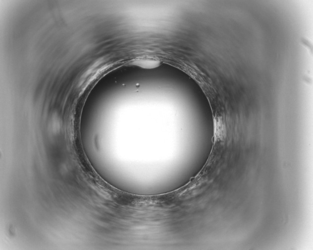X0000093750291200710301130