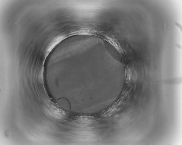 X0000093750292200710301130
