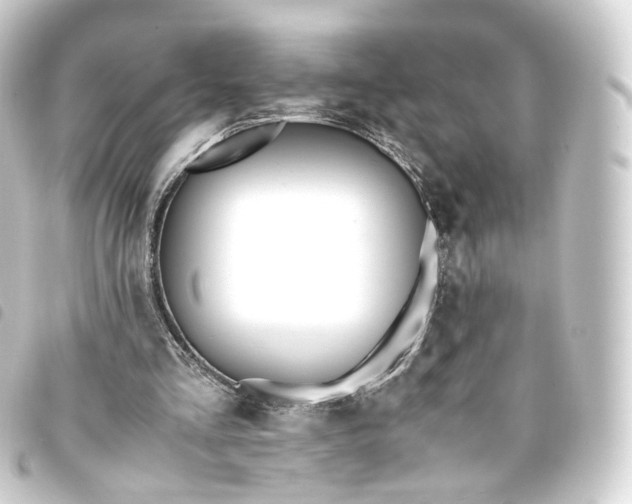 X0000093750293200710301130