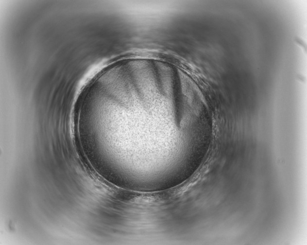 X0000093750294200710301130