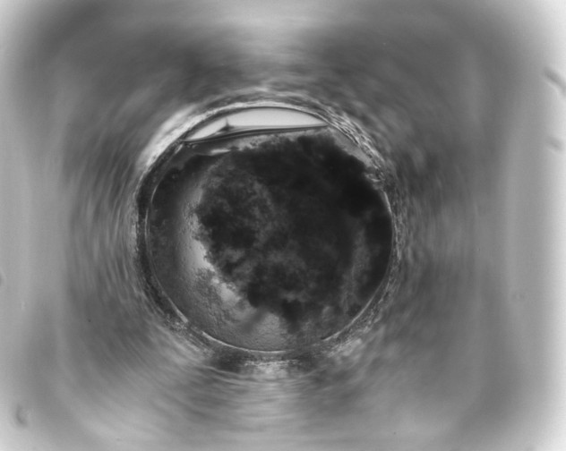 X0000093750295200710301130