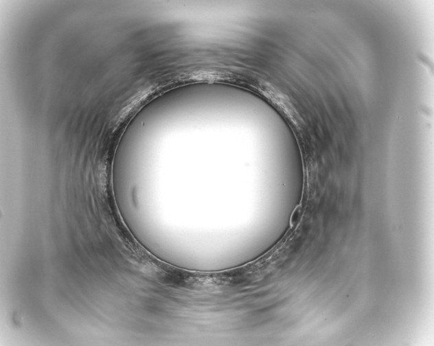 X0000093750297200710301130