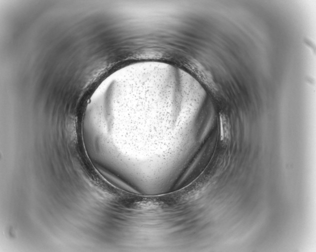 X0000093750300200710301130