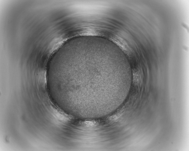 X0000093750302200710301130