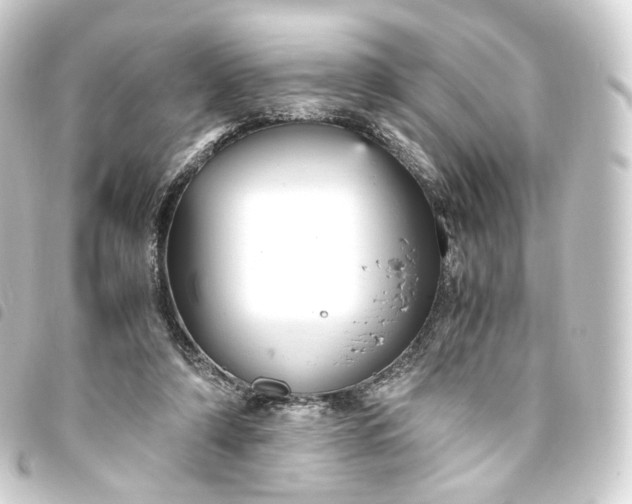 X0000093750306200710301130