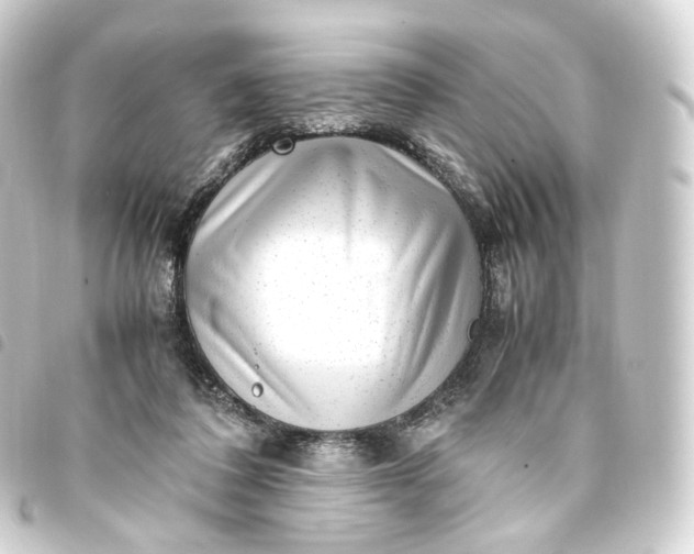 X0000093750308200710301130