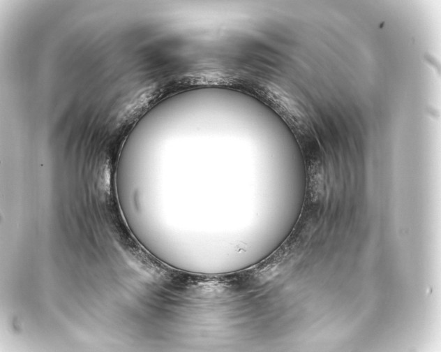 X0000093750310200710301130