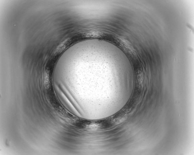 X0000093750312200710301130