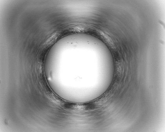 X0000093750313200710301130