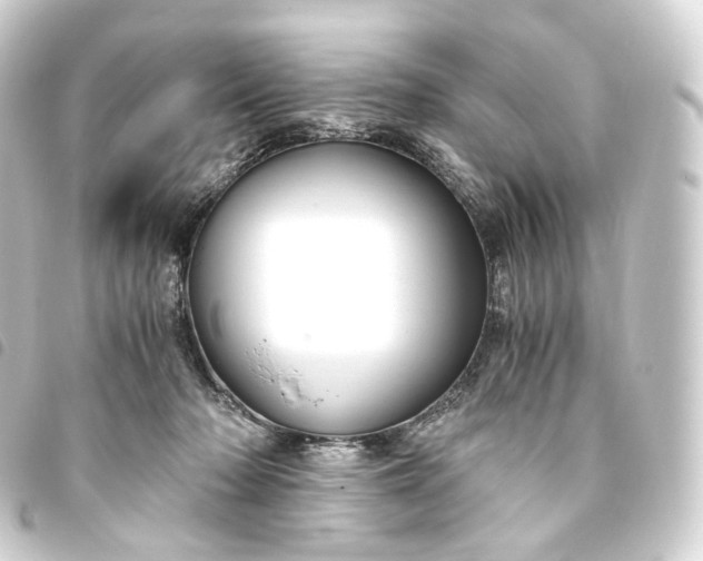 X0000093750318200710301130