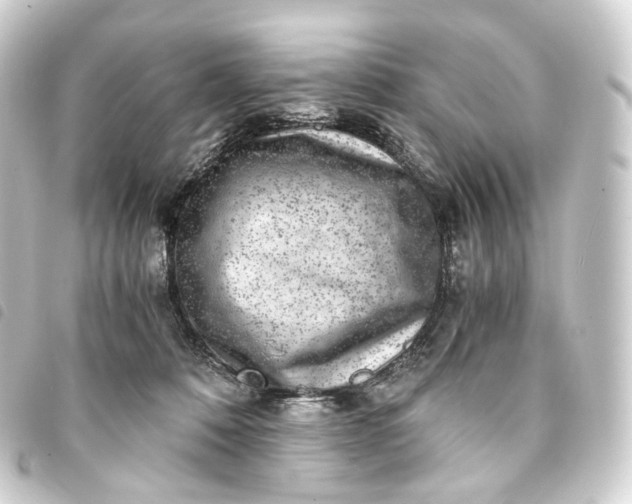 X0000093750320200710301130
