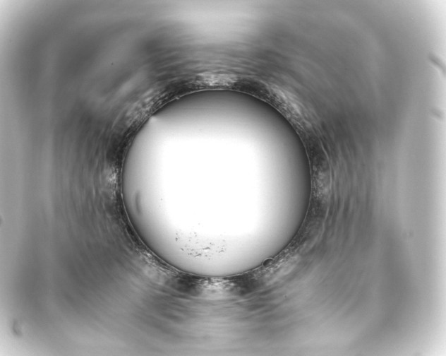 X0000093750321200710301130