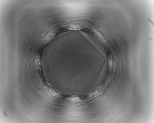 X0000093750322200710301130