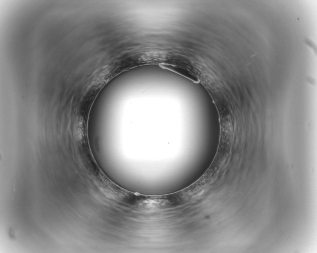 X0000093750323200710301130