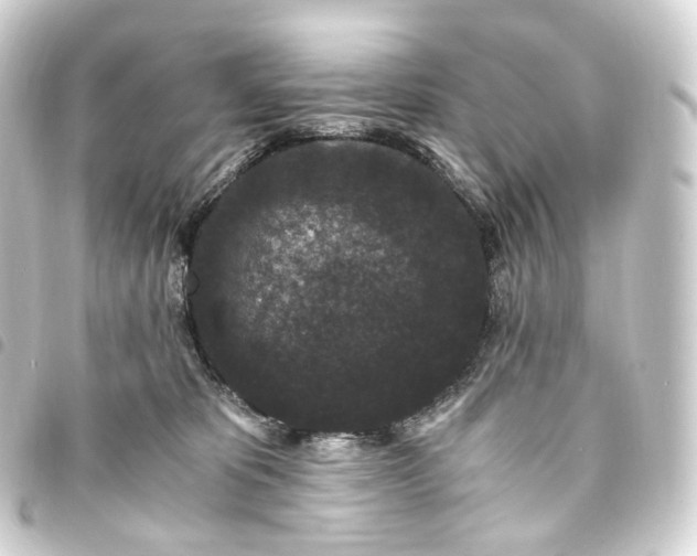 X0000093750325200710301130