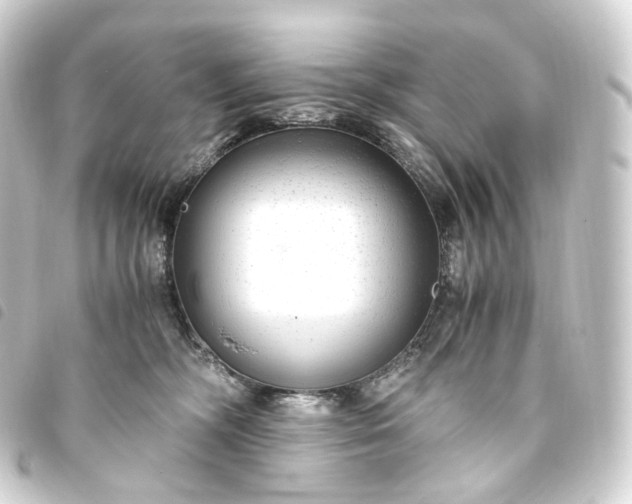 X0000093750326200710301130