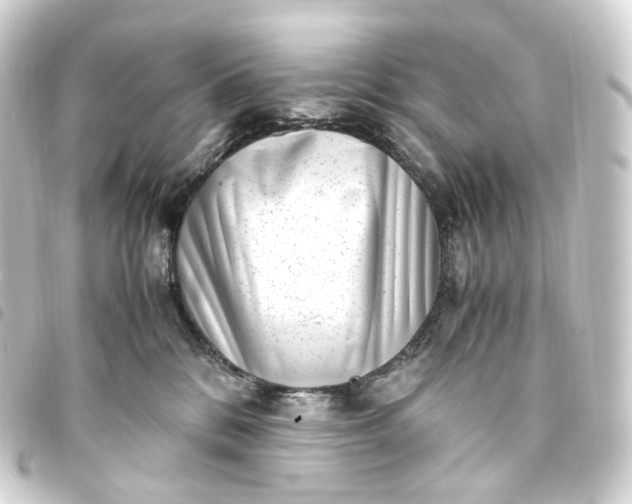 X0000093750328200710301129