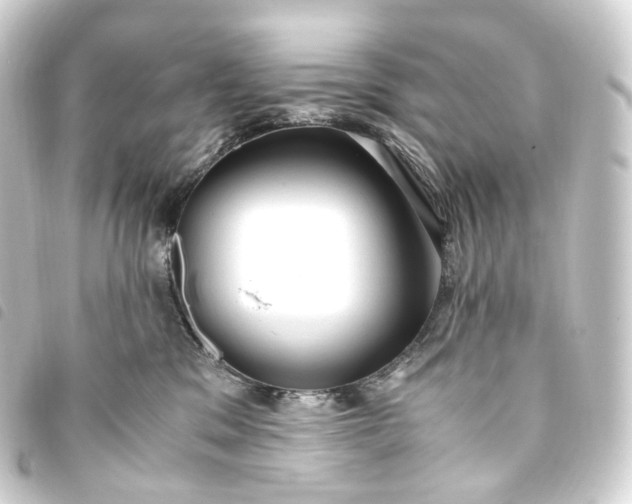 X0000093750329200710301129