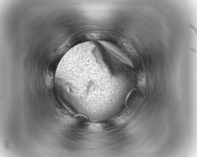 X0000093750332200710301129
