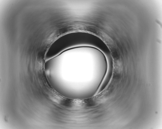 X0000093750333200710301129