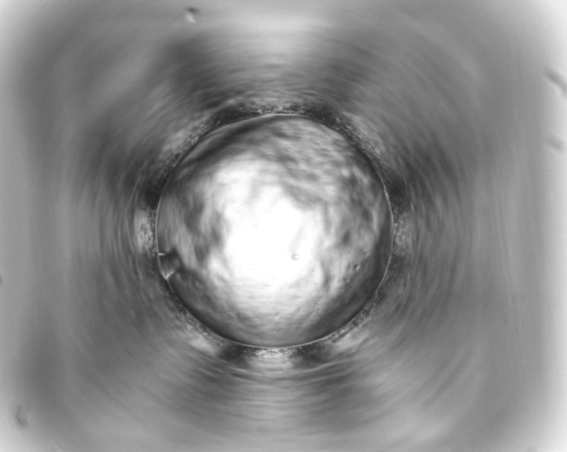 X0000093750335200710301129