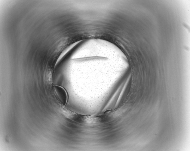 X0000093750336200710301129