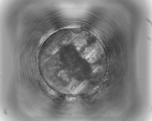 X0000093750337200710301129