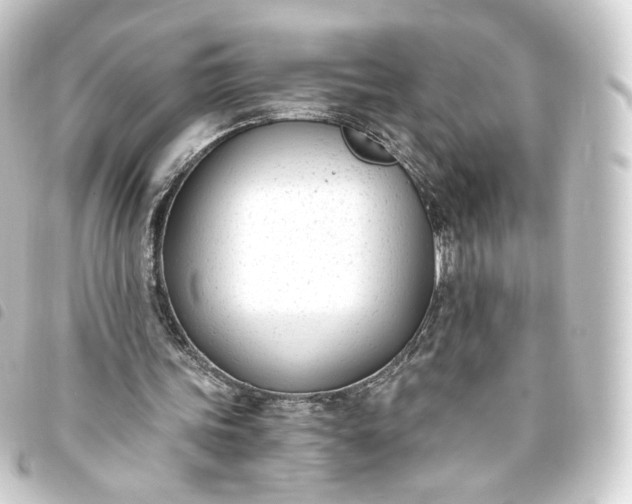 X0000093750339200710301129