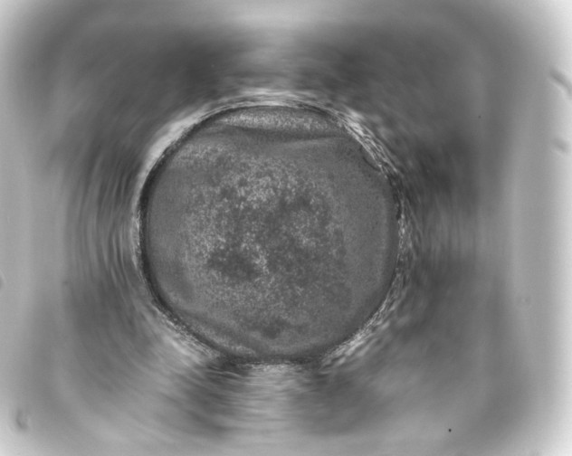 X0000093750342200710301129