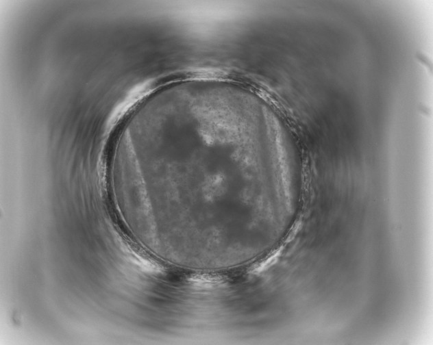 X0000093750343200710301129