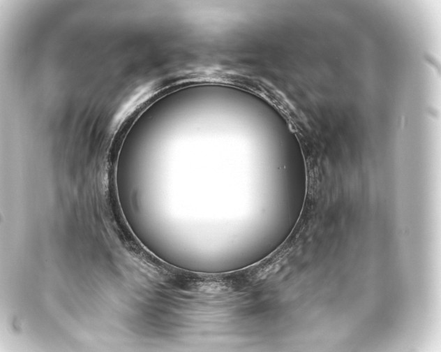 X0000093750344200710301129