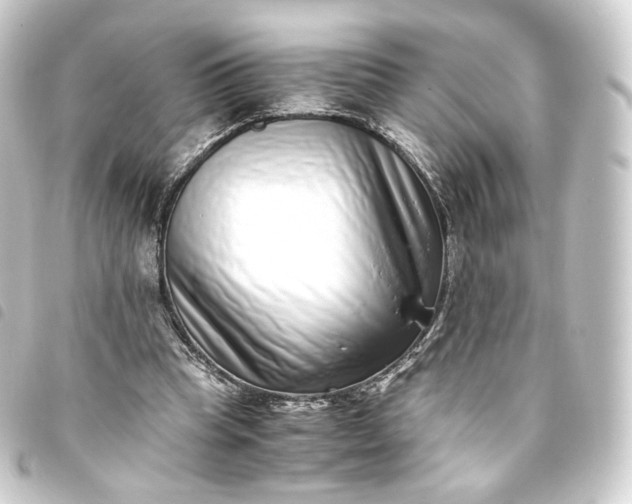 X0000093750345200710301129
