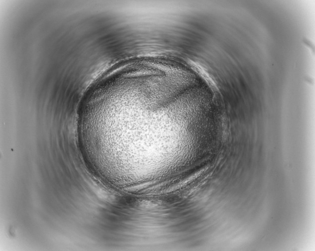 X0000093750346200710301129