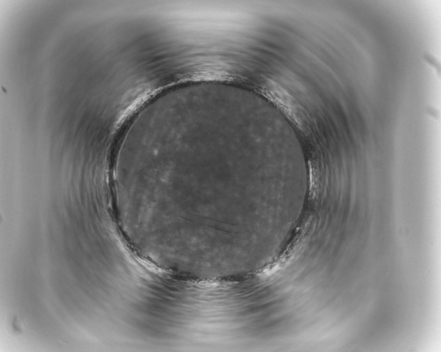 X0000093750348200710301129