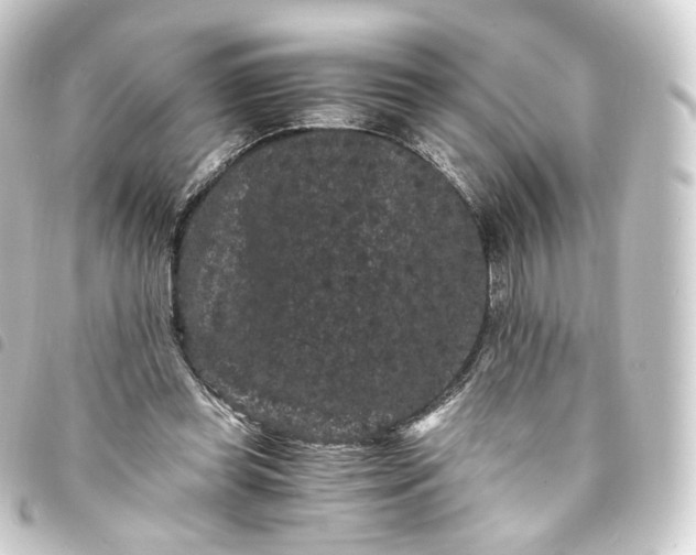 X0000093750349200710301129