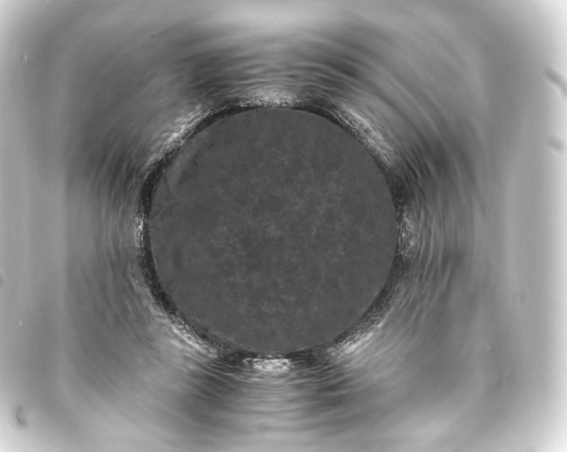 X0000093750355200710301129