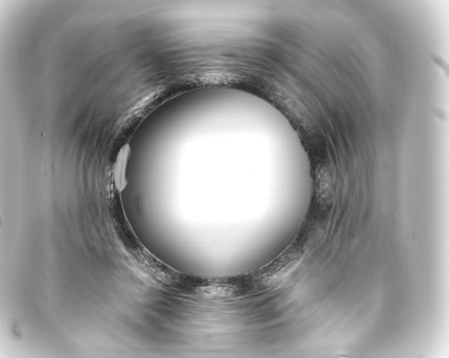 X0000093750356200710301129