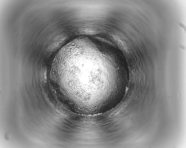 X0000093750358200710301129