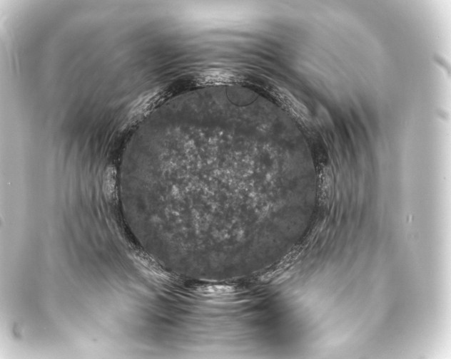 X0000093750361200710301129