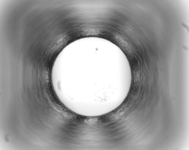 X0000093750362200710301129