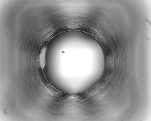 X0000093750364200710301129