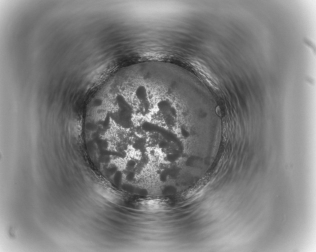X0000093750365200710301129