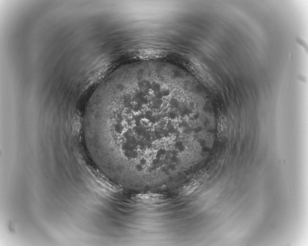 X0000093750367200710301129