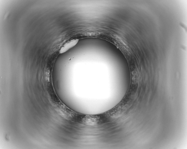 X0000093750368200710301129
