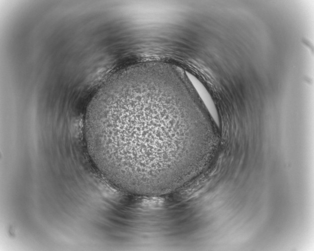 X0000093750369200710301129