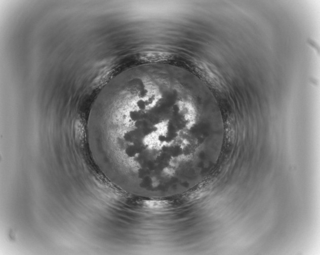 X0000093750371200710301129