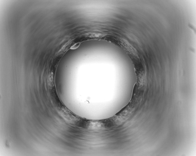 X0000093750376200710301129