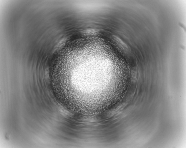 X0000093750377200710301129