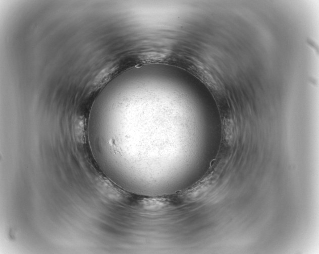 X0000093750378200710301129